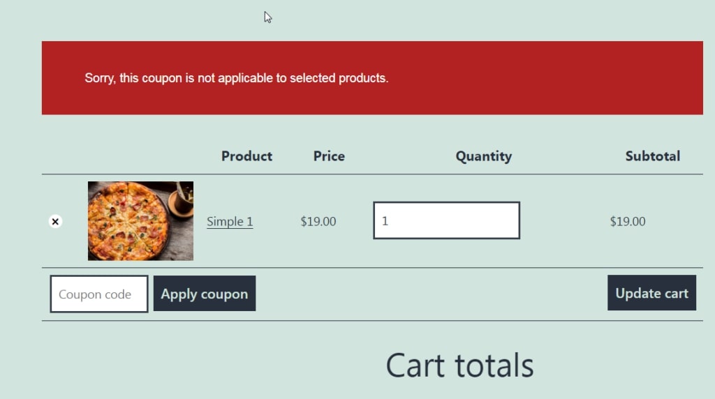 Image showing invalid coupon on a certain product after applying exclude product from discount coupons function